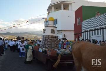 Alegre y participativa romería en El Ejido (Foto FJ Santana y TF)